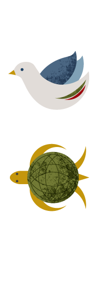 one turtle and dove